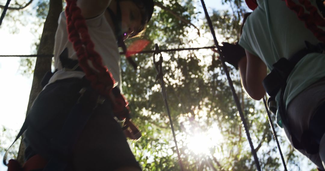 Thrilling Ropes Course Adventure Amidst Sunlit Trees