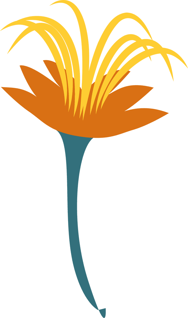 Minimalist Transparent Flower with Orange and Yellow Petals