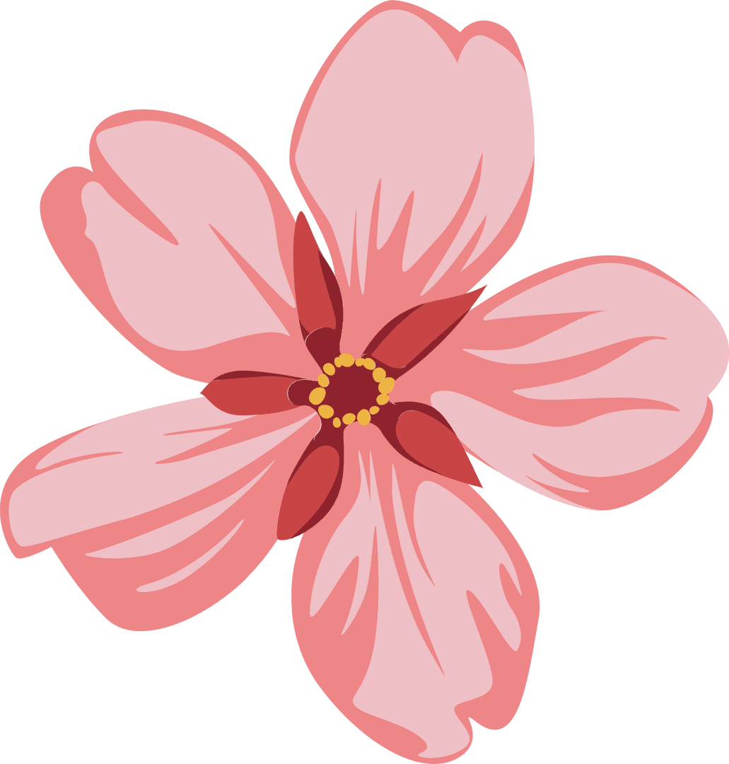 Pink Blossom with Five Petals on Transparent Background