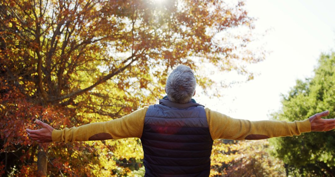 Senior Man Embracing Autumn Sunshine in Nature - Free Images, Stock Photos and Pictures on Pikwizard.com