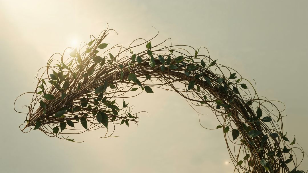 Artistic vine arch curved arrow with leaves and soft sunlight