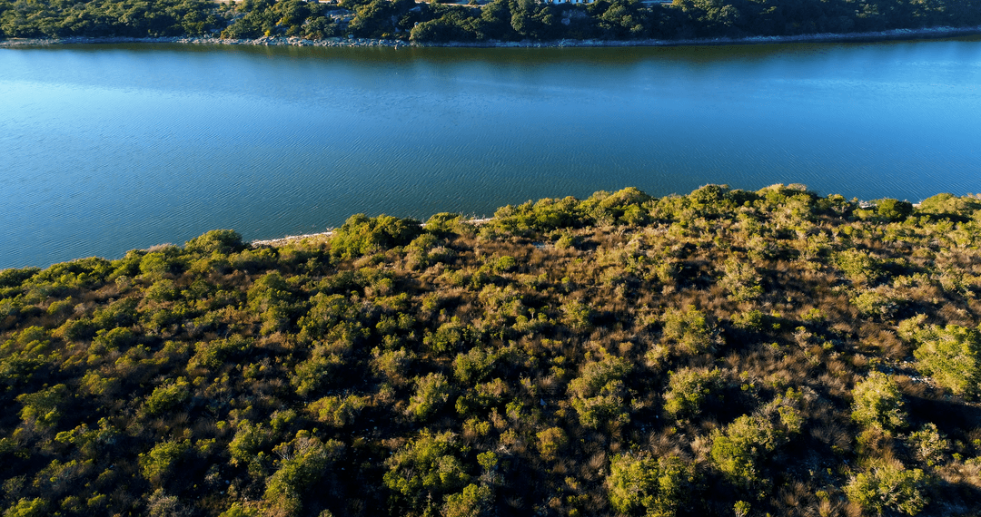 Lush Greenery and Reflective Lake on a Sunny Day
