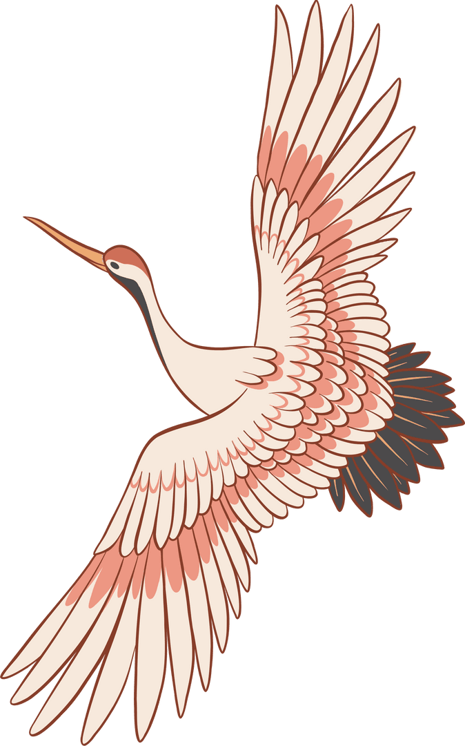 Elegant Crane Flying on Transparent Background - Art Illustration