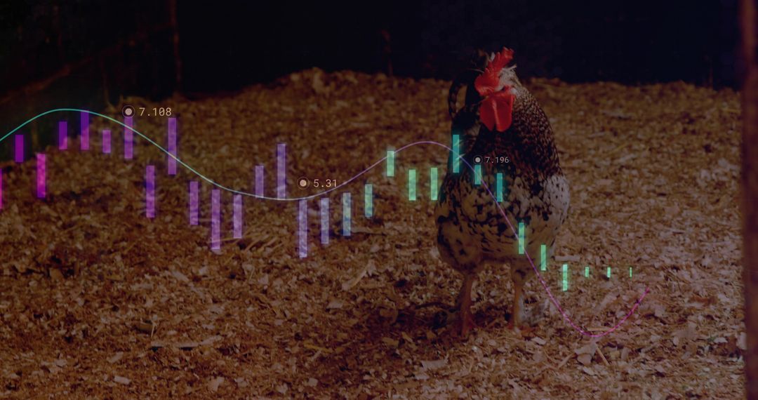 Rooster Walking in Barn Featuring Financial Graphics Overlay
