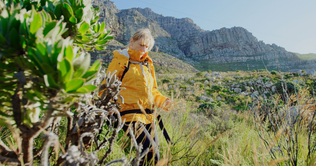 Woman Hiking in Mountainous Landscape with Yellow Jacket - Free Images, Stock Photos and Pictures on Pikwizard.com