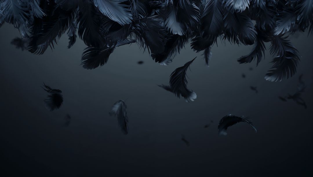 Mysterious Falling Feathers in Dark Atmosphere