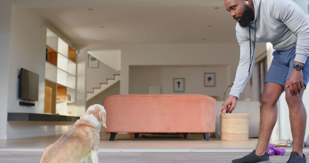 Man training dog in modern living room - Free Images, Stock Photos and Pictures on Pikwizard.com