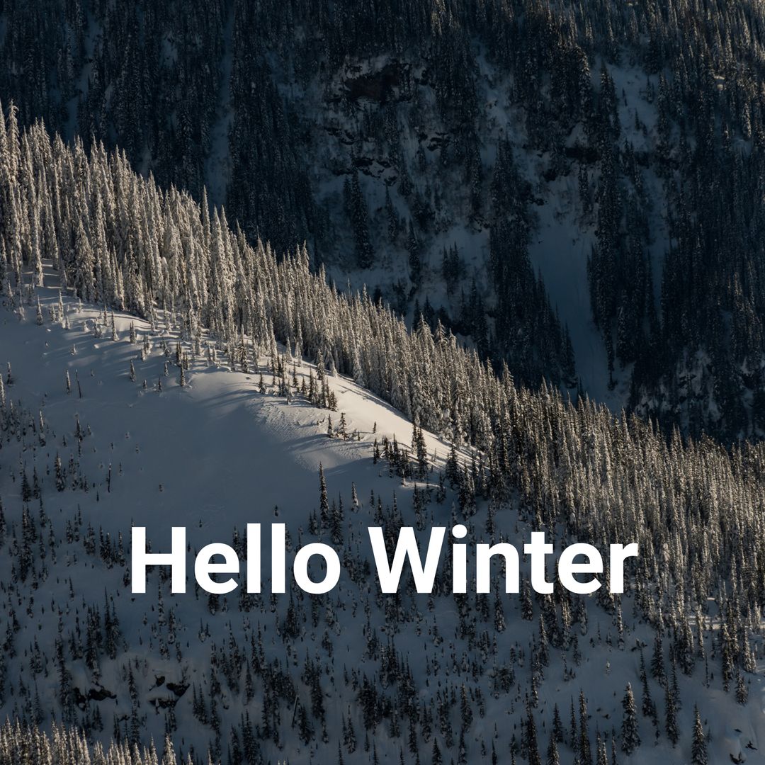 Snow-Covered Christmas Trees in Winter Wonderland