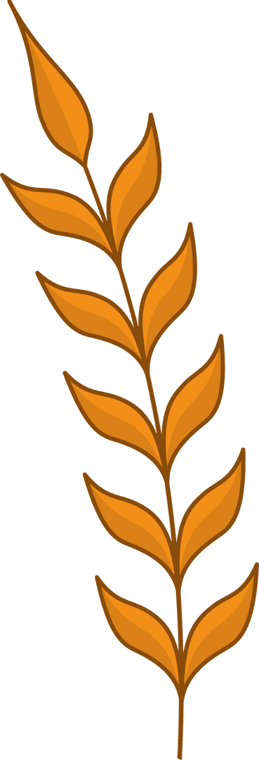 Decorative Botanical Branch with Orange Leaves Transparent Background