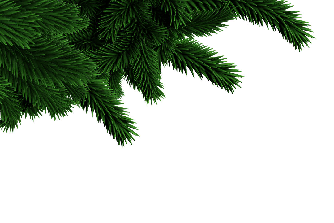Transparent Christmas Tree Branches Illustration