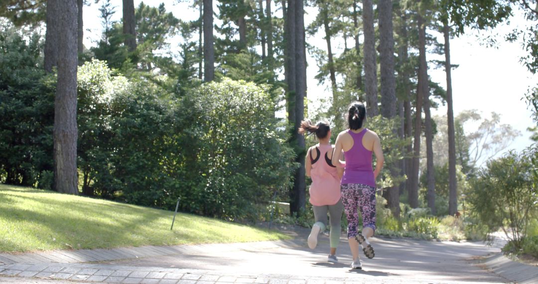 Women Jogging in Forest Park on Sunny Day - Free Images, Stock Photos and Pictures on Pikwizard.com