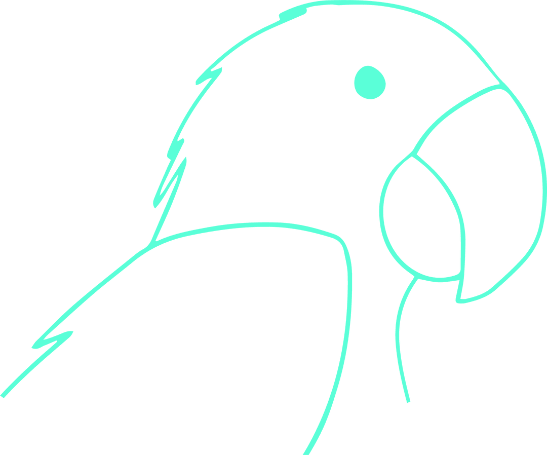 Transparent Mint-Green Parrot Line Drawing on Clear Background