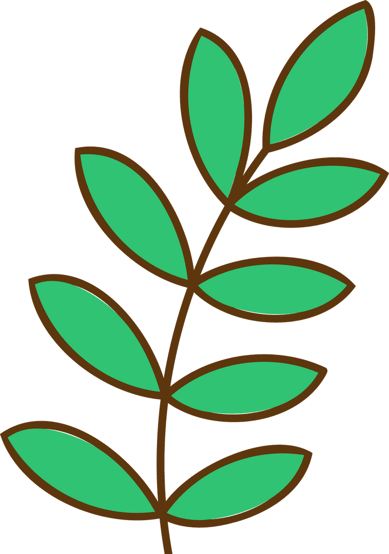 Minimalist Leafy Branch with Contours on Transparent Background