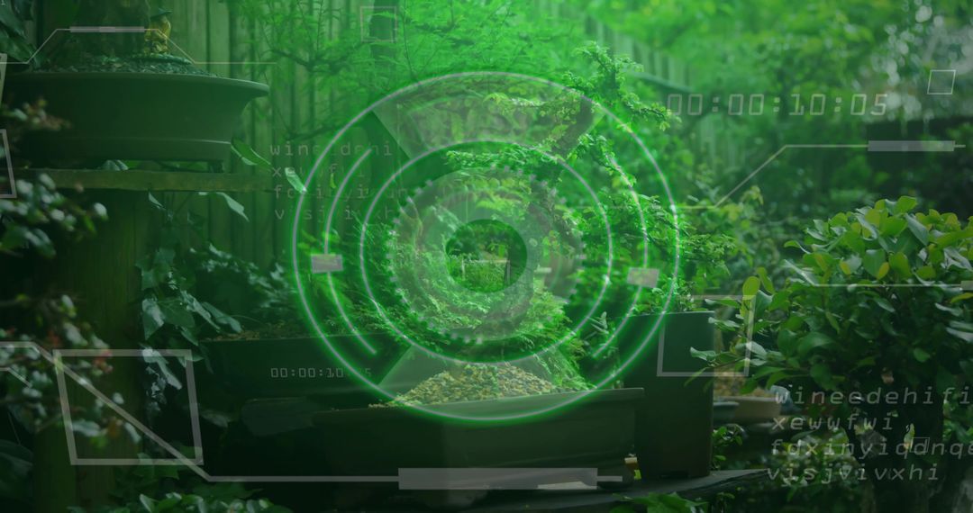 Bonsai Tree and Holographic Interface in Zen Garden