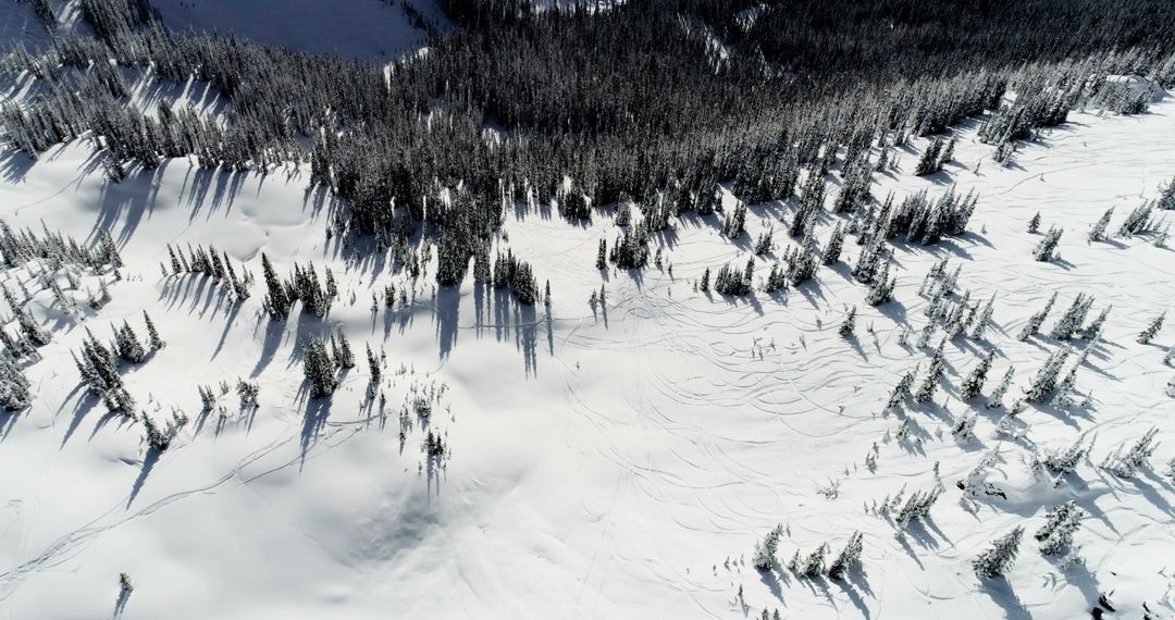 Aerial View of Snow-Covered Forest Landscape with Shadows - Free Images, Stock Photos and Pictures on Pikwizard.com