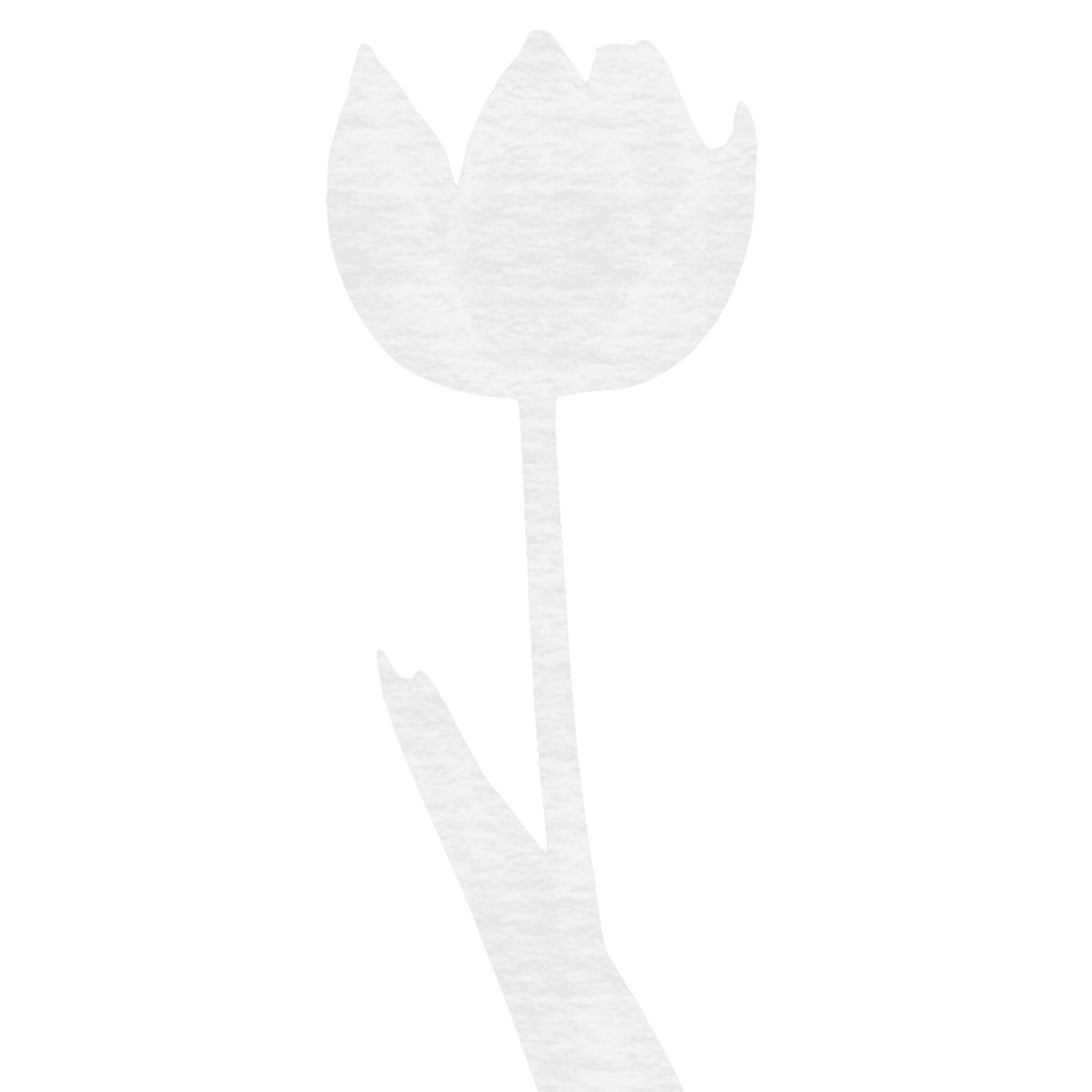Transparent Floral Silhouette of Tulip on Stick