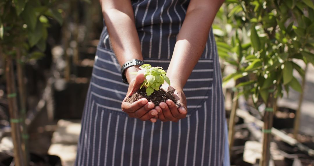 Gardener Holding Seedling in Nursery Highlighting Eco-Friendly Practices