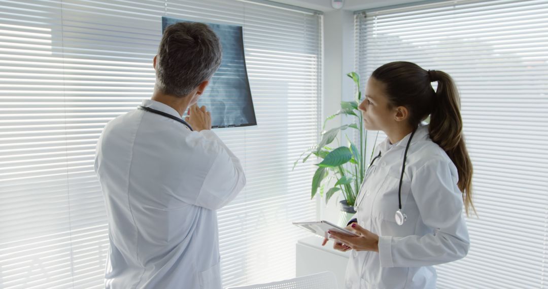 Doctors Examining X-Ray in Medical Office with Natural Light - Free Images, Stock Photos and Pictures on Pikwizard.com