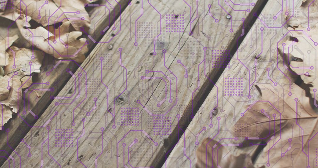 Purple circuitry overlay on weathered wood planks with dry autumn leaves