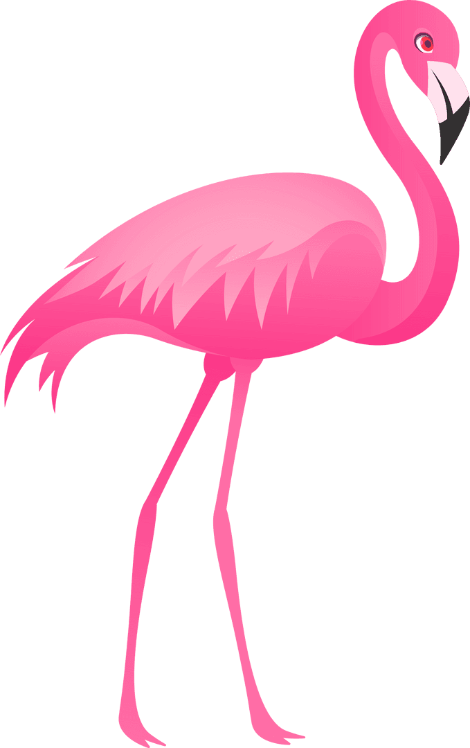 Stylized Transparent Flamingo Illustration