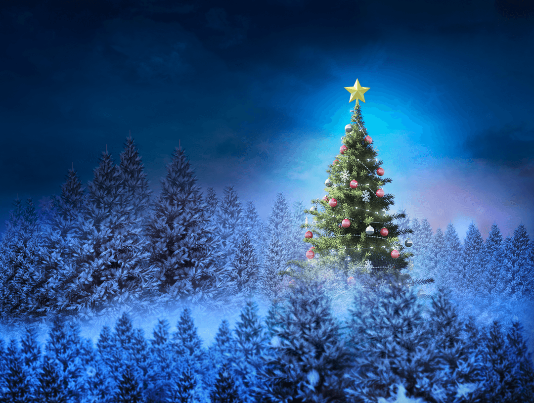 Christmas Tree Starry Night Transparent Background
