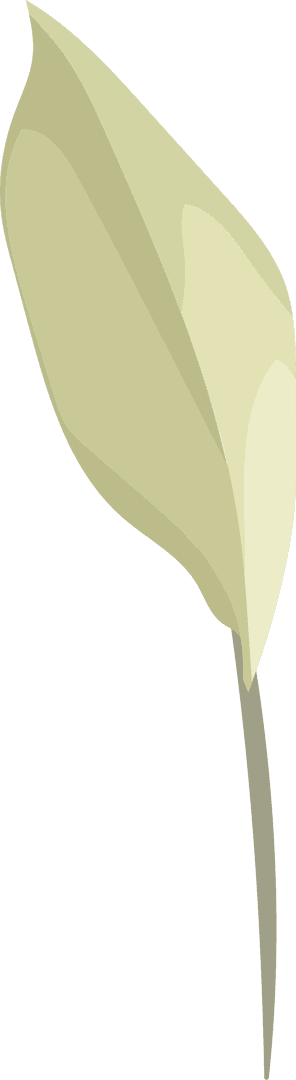 Transparent Flora Leaf With Minimalistic Style on Transparent Background