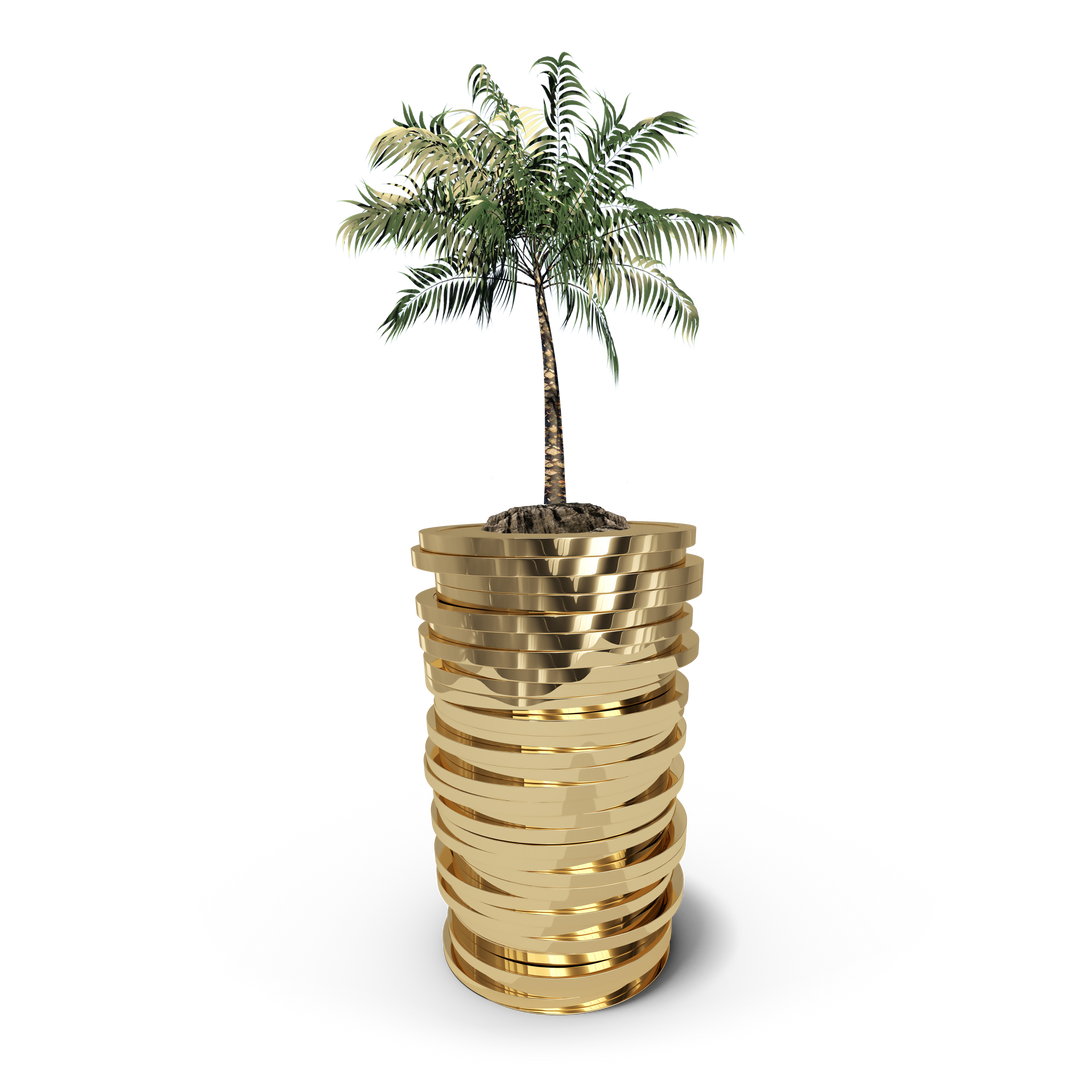 Transparent Coins Stack with Growing Palm Tree Digital PNG Illustration - Download Free Stock Images Pikwizard.com