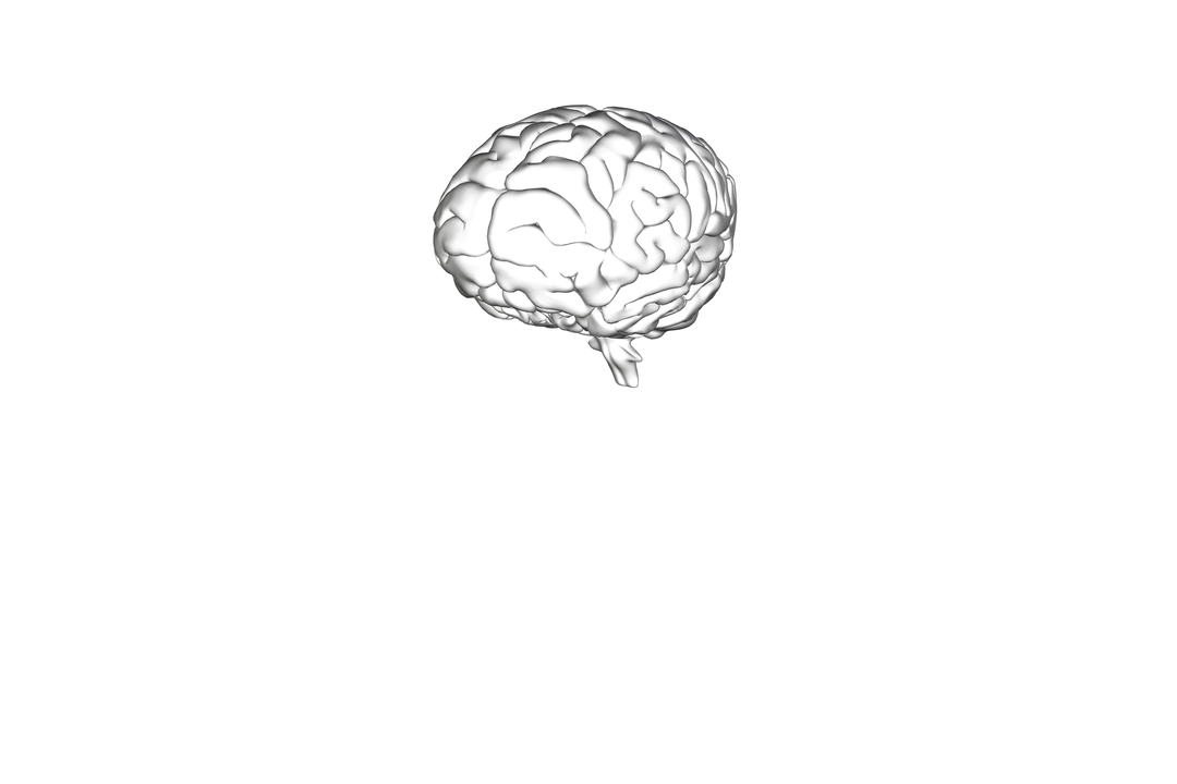 Digital Illustration of Human Brain on Transparent Background for Knowledge Concept - Download Free Stock Images Pikwizard.com