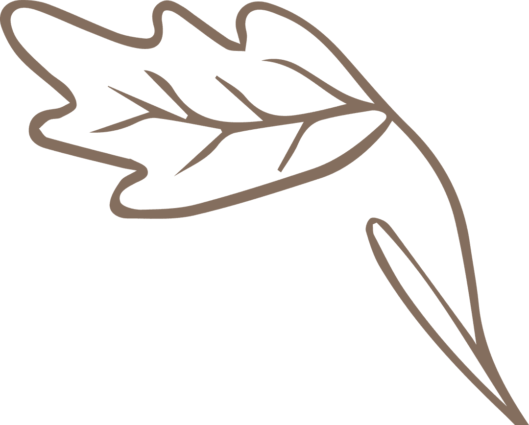 Stylized Leaf Outline on Transparent Background for Nature Designs