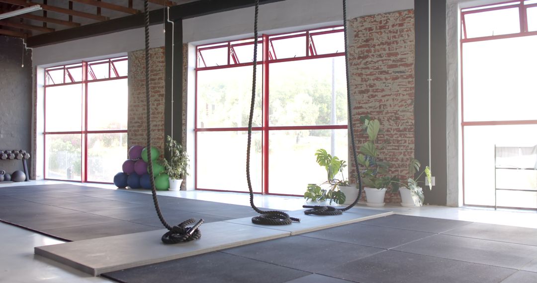 Modern Sunlit Gym Interior with Ropes and Natural Decor Elements