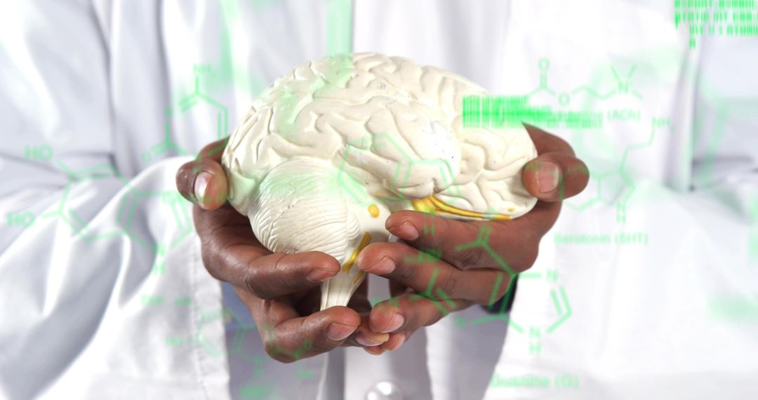 Scientist Analyzing Brain Function with Model and Digital Diagrams