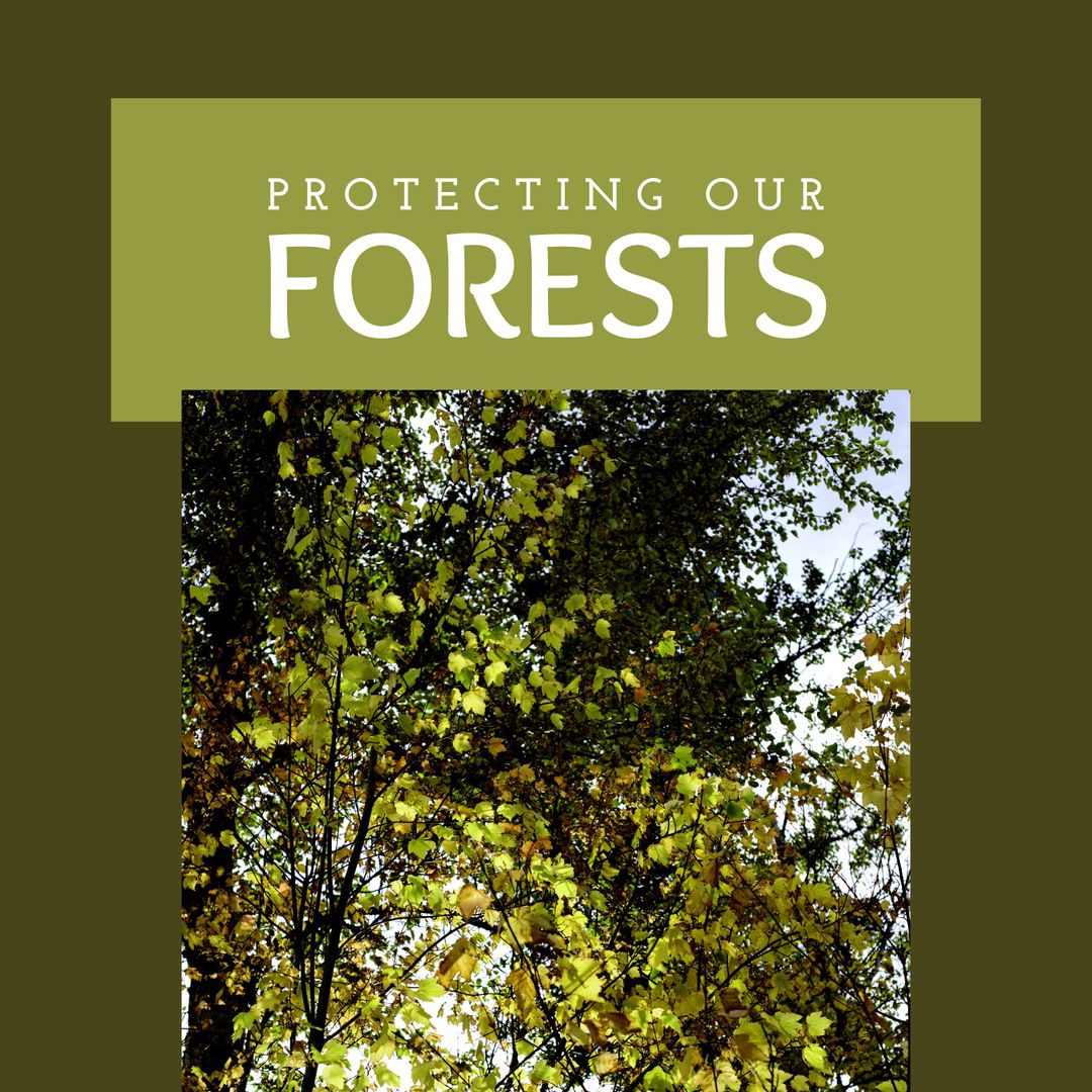 Forests Conservation Awareness Banner with Lush Green Trees