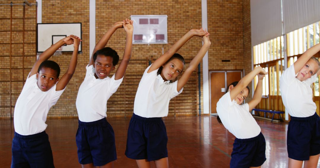 Diverse Schoolchildren Performing Stretching Exercises in Gym - Free Images, Stock Photos and Pictures on Pikwizard.com