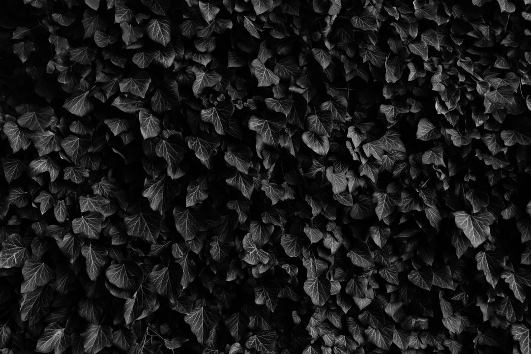 Carbon Rock Texture - Free Images, Stock Photos and Pictures on Pikwizard.com