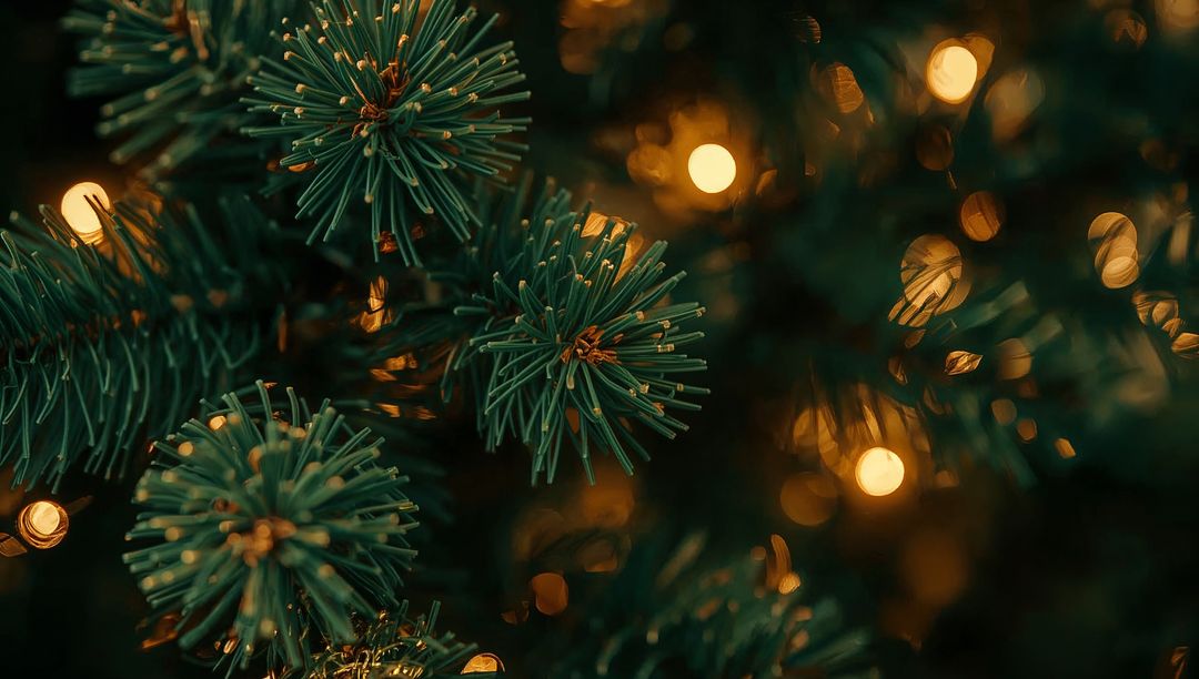 Moody Macro Evergreen Needle Clusters Bathed in Warm Amber Fairy Light Bokeh