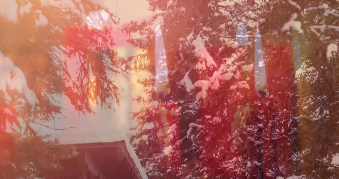 Snow-Covered Fir Trees Blended with Luminous Candles
