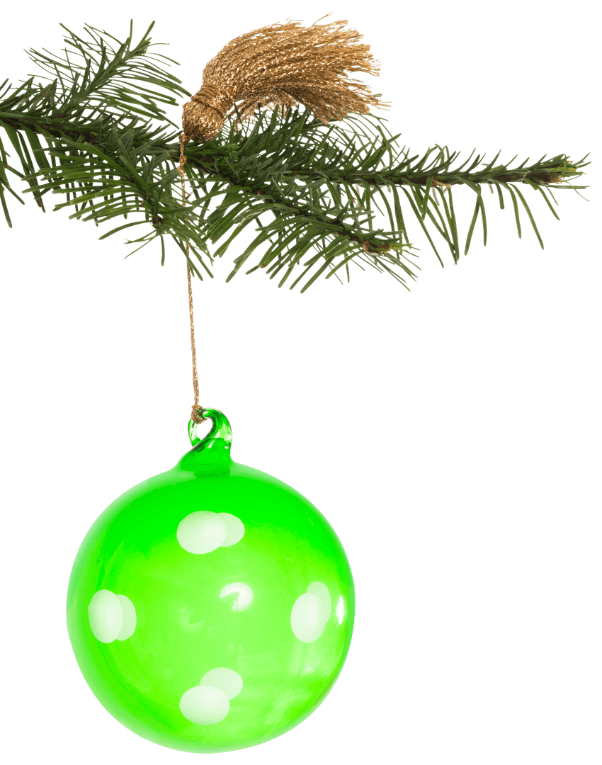 Transparent Green Christmas Ornament Dangling from Pine Branch
