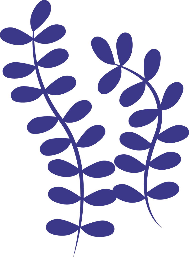 Blue Botanical Foliage with Oval Leaves on Transparent Background