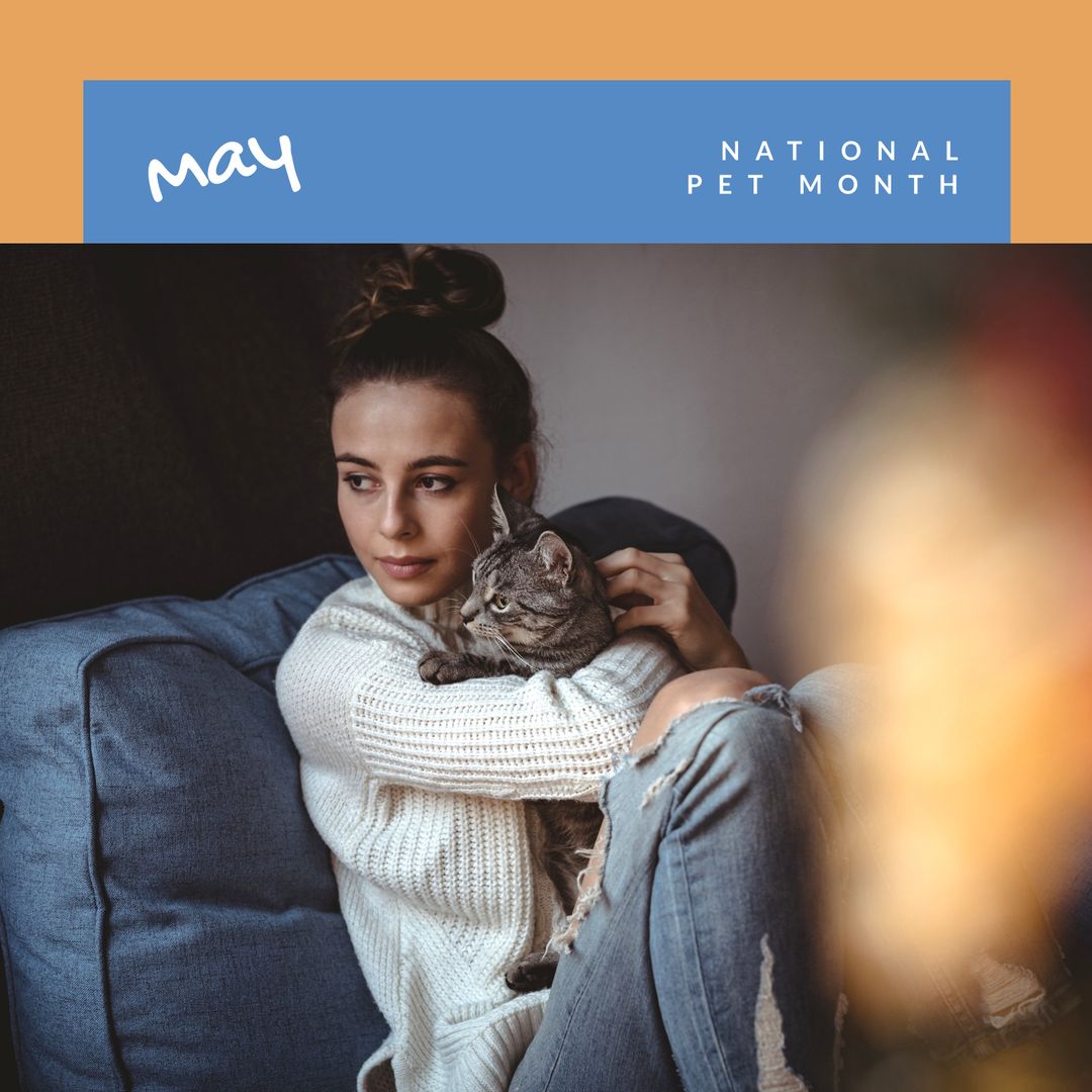 Celebrating National Pet Month with Cozy Cat Cuddles at Home