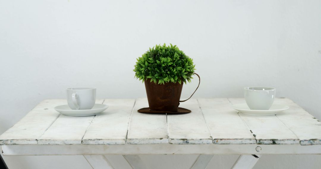 Minimalist Table Setting with Potted Plant and Coffee Cups - Free Images, Stock Photos and Pictures on Pikwizard.com