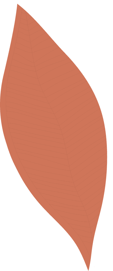 Transparent vector orange leaf with distinct vein pattern