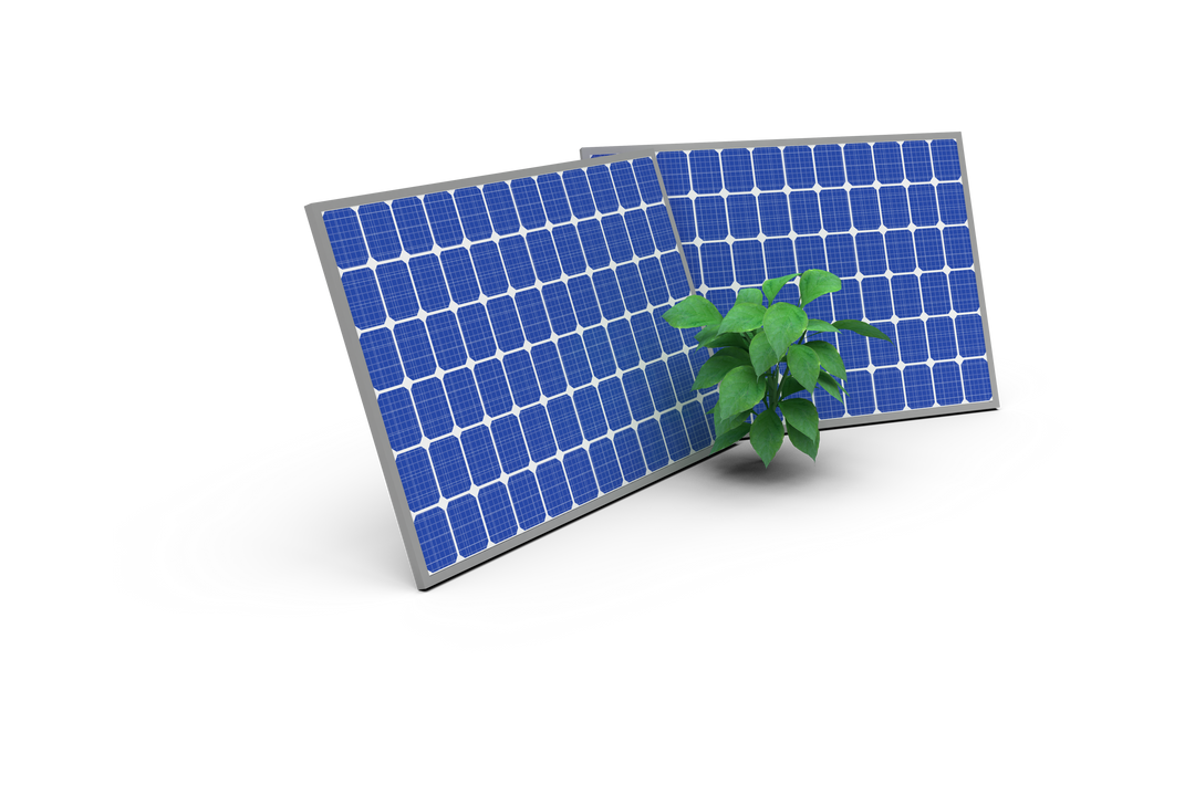 Transparent Energy Transformation Concept with Plant and 3D Solar Panels - Download Free Stock Images Pikwizard.com