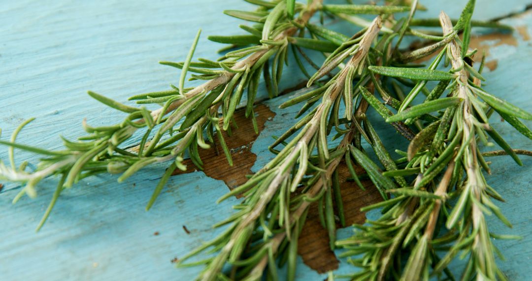 Fresh Rosemary Sprigs on Rustic Wooden Surface - Free Images, Stock Photos and Pictures on Pikwizard.com