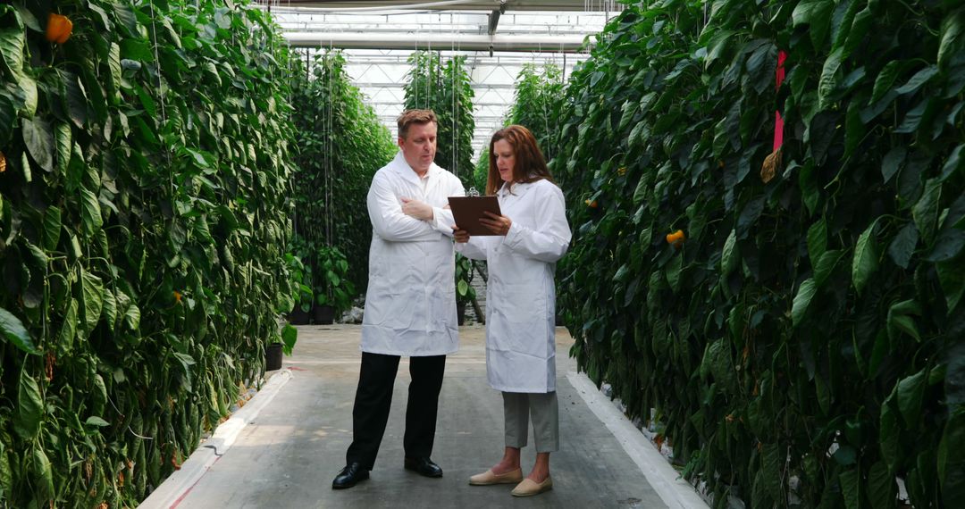 Scientists Analyzing Plant Growth in Greenhouse Setting