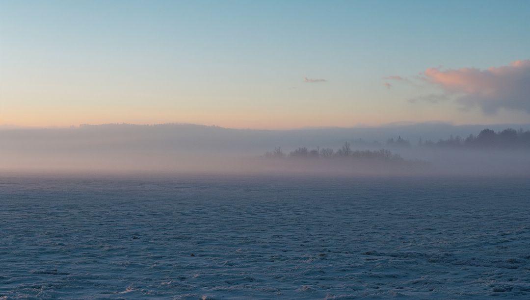 Tranquil Frosty Morning Landscape with Distant Trees at Dawn