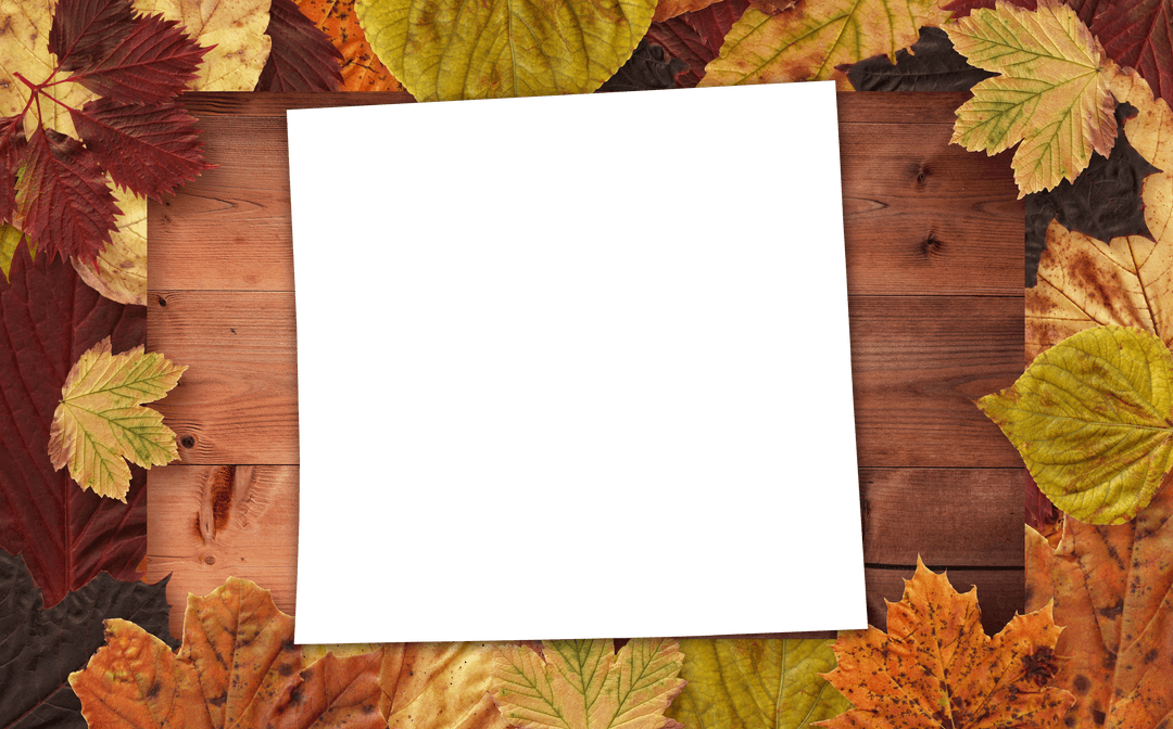 Transparent Photo Frame Displayed with Leaves for Autumn