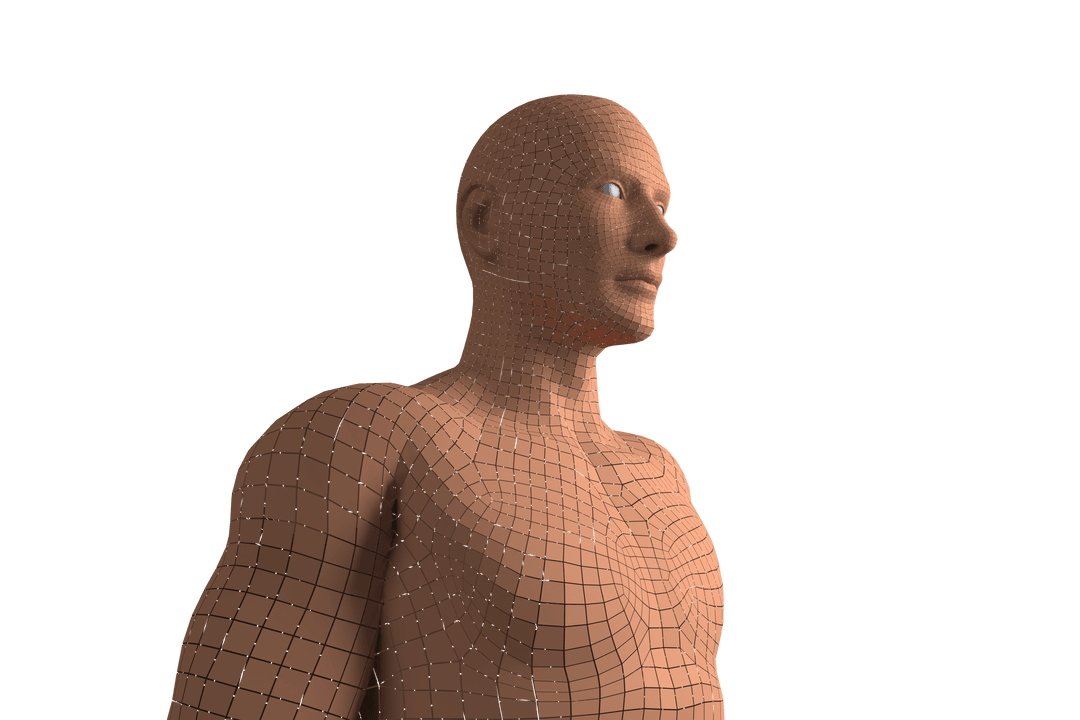 Transparent Digital Vector Silhouette of Man's High Section