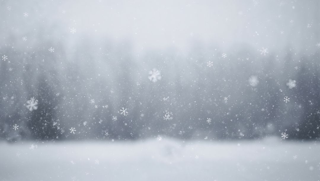 Drifting Snowflakes Floating Over Snowy Field With Misty Treeline and Soft Bokeh