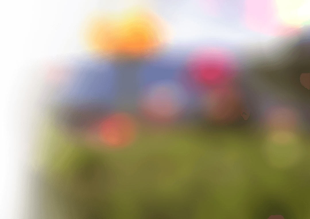 Colorful Abstract Shape on Transparent Background Illustration