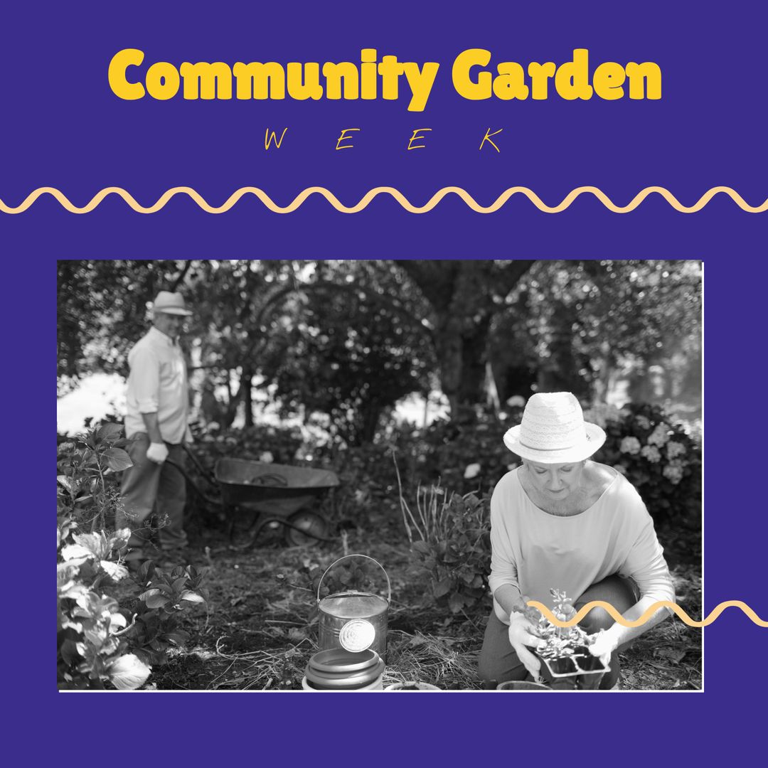 Senior Couple Enjoying Community Gardening Together